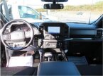 Thumbnail Photo 6 for 2021 Ford F150