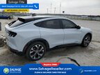Thumbnail Photo 4 for New 2021 Ford Mustang