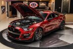 Thumbnail Photo 6 for 2021 Ford Mustang