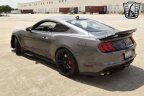 Thumbnail Photo 3 for 2021 Ford Mustang Shelby GT500 Coupe