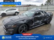 New 2021 Ford Mustang GT Coupe