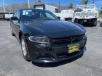 Thumbnail Photo 2 for 2022 Dodge Charger SXT