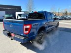 Thumbnail Photo 4 for 2022 Ford F150
