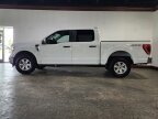Thumbnail Photo 6 for 2022 Ford F150