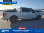 Thumbnail Photo 4 for New 2022 Ford F150