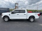 Thumbnail Photo 6 for 2022 Ford F150