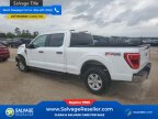 Thumbnail Photo 3 for 2022 Ford F150