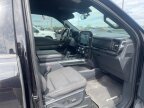 Thumbnail Photo 4 for 2022 Ford F150