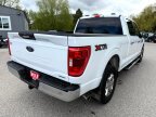 Thumbnail Photo 5 for 2022 Ford F150