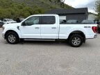 Thumbnail Photo 2 for 2022 Ford F150