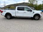 Thumbnail Photo 6 for 2022 Ford F150