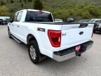 Thumbnail Photo 3 for 2022 Ford F150
