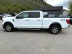 Thumbnail Photo 1 for 2022 Ford F150