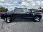 Thumbnail Photo 4 for 2022 Ford F150