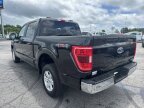 Thumbnail Photo 6 for 2022 Ford F150
