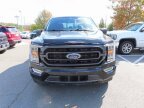 Thumbnail Photo 1 for 2022 Ford F150