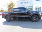 Thumbnail Photo 4 for 2022 Ford F150