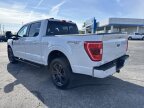 Thumbnail Photo 6 for 2022 Ford F150