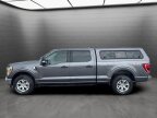 Thumbnail Photo 6 for 2022 Ford F150