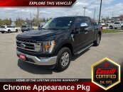 2022 Ford F150