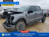 2022 Ford F150