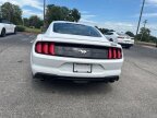Thumbnail Photo 5 for 2022 Ford Mustang