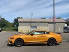 Thumbnail Photo 1 for 2022 Ford Mustang