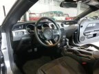 Thumbnail Photo 4 for 2022 Ford Mustang
