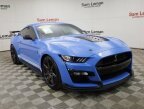 Thumbnail Photo 1 for 2022 Ford Mustang Shelby GT500