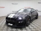 Thumbnail Photo 4 for 2022 Ford Mustang Shelby GT500