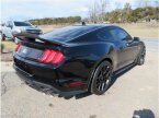 Thumbnail Photo 1 for 2022 Ford Mustang