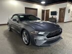 Thumbnail Photo 6 for 2022 Ford Mustang
