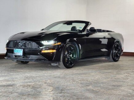 Photo 1 for 2022 Ford Mustang