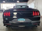 Thumbnail Photo 4 for 2022 Ford Mustang