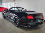 Thumbnail Photo 3 for 2022 Ford Mustang