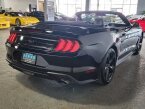 Thumbnail Photo 5 for 2022 Ford Mustang
