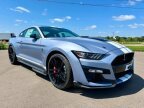 Thumbnail Photo 6 for 2022 Ford Mustang Shelby GT500