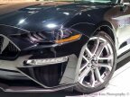 Thumbnail Photo 5 for 2022 Ford Mustang GT Premium
