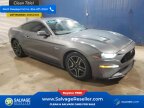 Thumbnail Photo 5 for New 2022 Ford Mustang GT Coupe