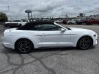 Thumbnail Photo 4 for 2022 Ford Mustang