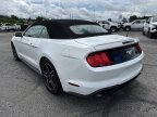 Thumbnail Photo 6 for 2022 Ford Mustang