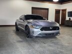 Thumbnail Photo 2 for 2022 Ford Mustang GT