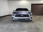 Thumbnail Photo 1 for 2022 Ford Mustang GT