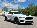 Thumbnail Photo 1 for 2022 Ford Mustang