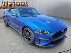 Thumbnail Photo 3 for 2022 Ford Mustang
