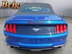 Thumbnail Photo 6 for 2022 Ford Mustang