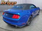 Thumbnail Photo 5 for 2022 Ford Mustang