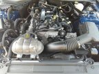 Thumbnail Photo 2 for 2022 Ford Mustang