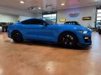 Thumbnail Photo 6 for 2022 Ford Mustang Shelby GT500