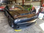 Thumbnail Photo 1 for 2023 Dodge Challenger